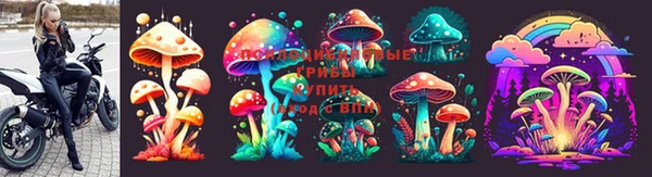 тгк Армянск