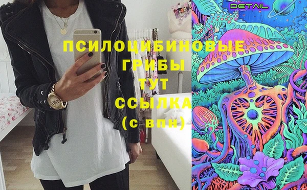 тгк Армянск