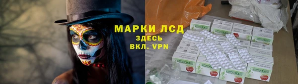 твердый Арсеньев
