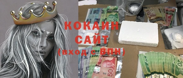 гашик Алексеевка