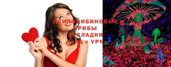 твердый Арсеньев
