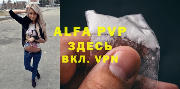 твердый Арсеньев
