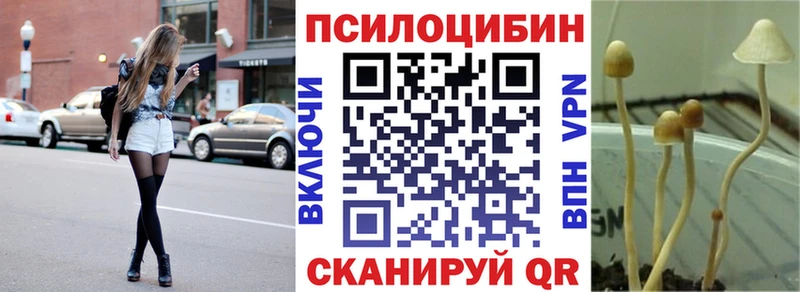 Псилоцибиновые грибы мицелий Артёмовский